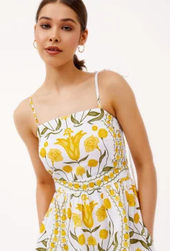 1567 alessia