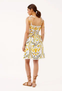 1567 alessia